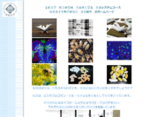 Tablet Screenshot of kiya.w3.kanazawa-u.ac.jp